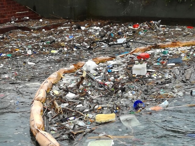 海洋環境を破壊するマイクロプラスチックとは？